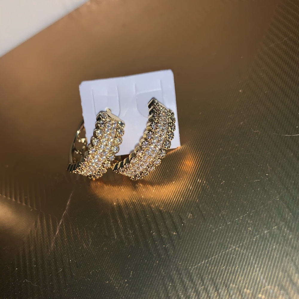 Earring for woman